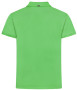 VIRTUE ECO POLO SOLID