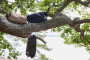 KOSMETYCZKA VIDE, CZARNA